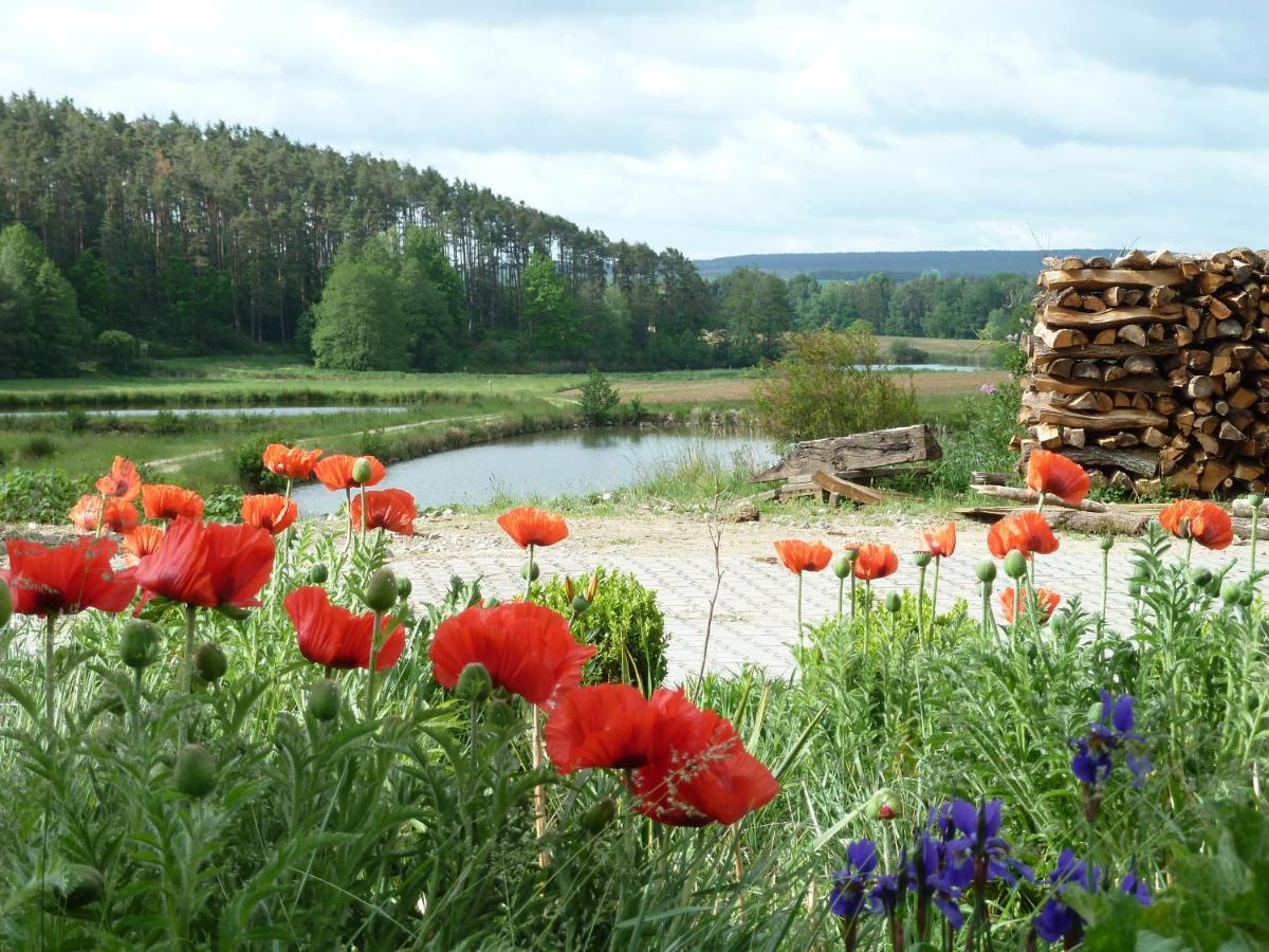 Ferienwohnungen Am Buechlhof Im Oberpfaelzer Seenland Нойнбург-форм-Вальд Экстерьер фото