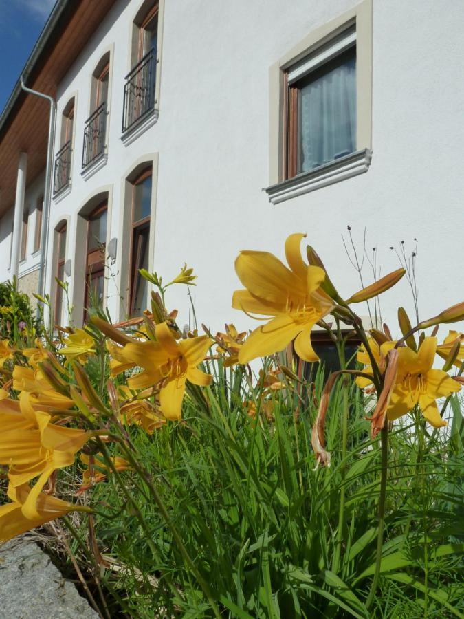 Ferienwohnungen Am Buechlhof Im Oberpfaelzer Seenland Нойнбург-форм-Вальд Экстерьер фото